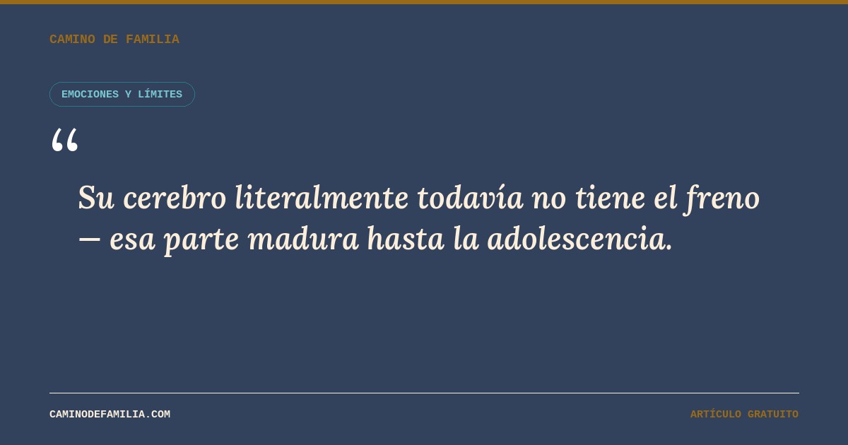 Su cerebro todav&iacute;a no tiene el freno &mdash; la parte del cerebro que regula impulsos madura hasta la adolescencia